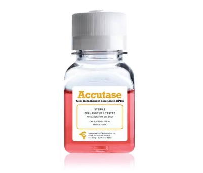 Accutase/Accumax消化液